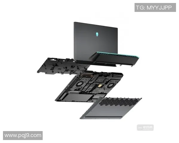 电竞实时数据助力LNG转型之路的纪实与反思